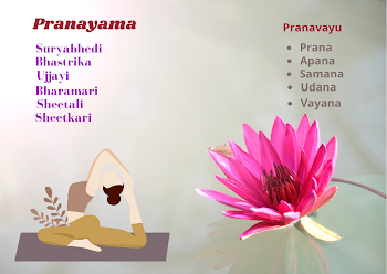 Yoga Breathing Exercise/ Types Of Pranayama